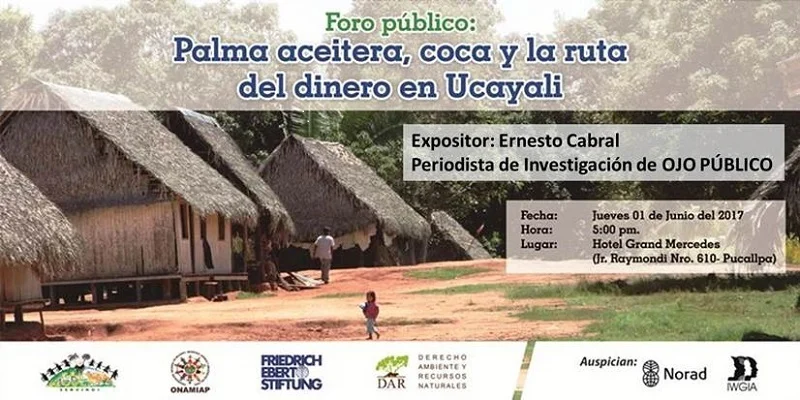 The Shadows Over Ucayali: Investigating the Economics of Deforestation and Illegal Economies