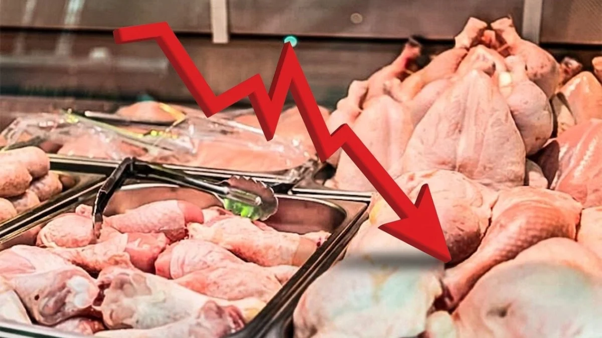 Poultry Prices See Significant Relief: Lima Markets Experience Sharp Decline in Chicken and Egg Costs