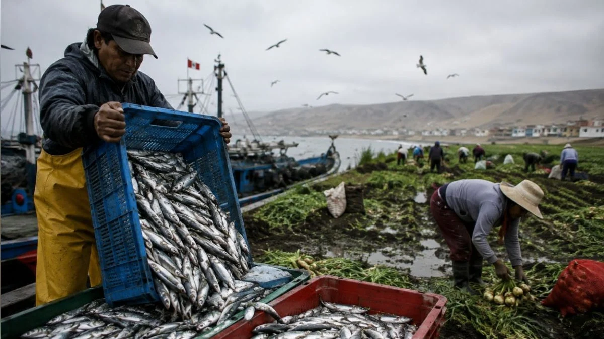 The Climate Crunch: Peru’s Economy Faces Sharp Deceleration Amidst El Niño Impact