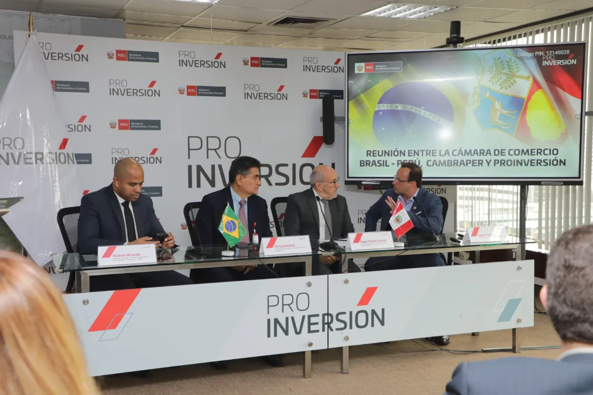 Peru and Brazil Forge New Energy Alliance: A Deep Dive into Renewable Investment Opportunities