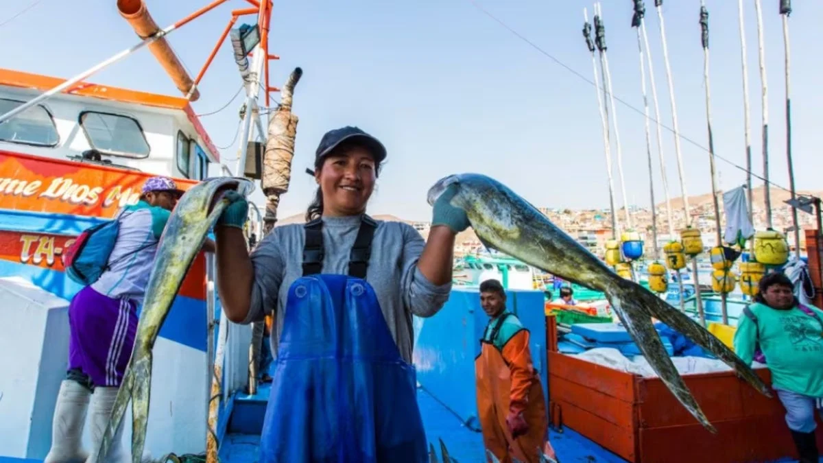 Peru Launches 2026-2027 Mahi-Mahi Season: Balancing Economic Opportunity with Marine Sustainability