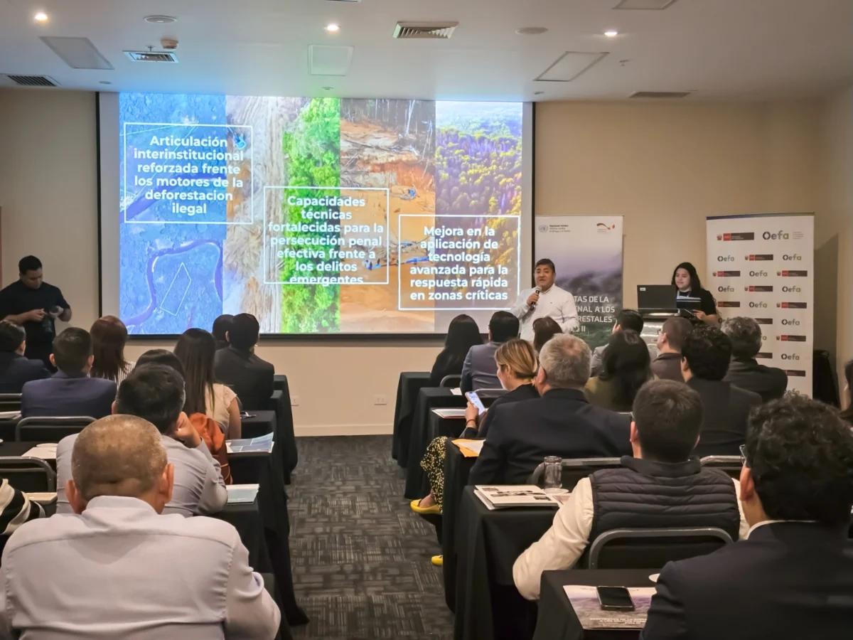 Strengthening Environmental Justice: OEFA and UNODC Forge Strategic Alliance Against Illegal Mining