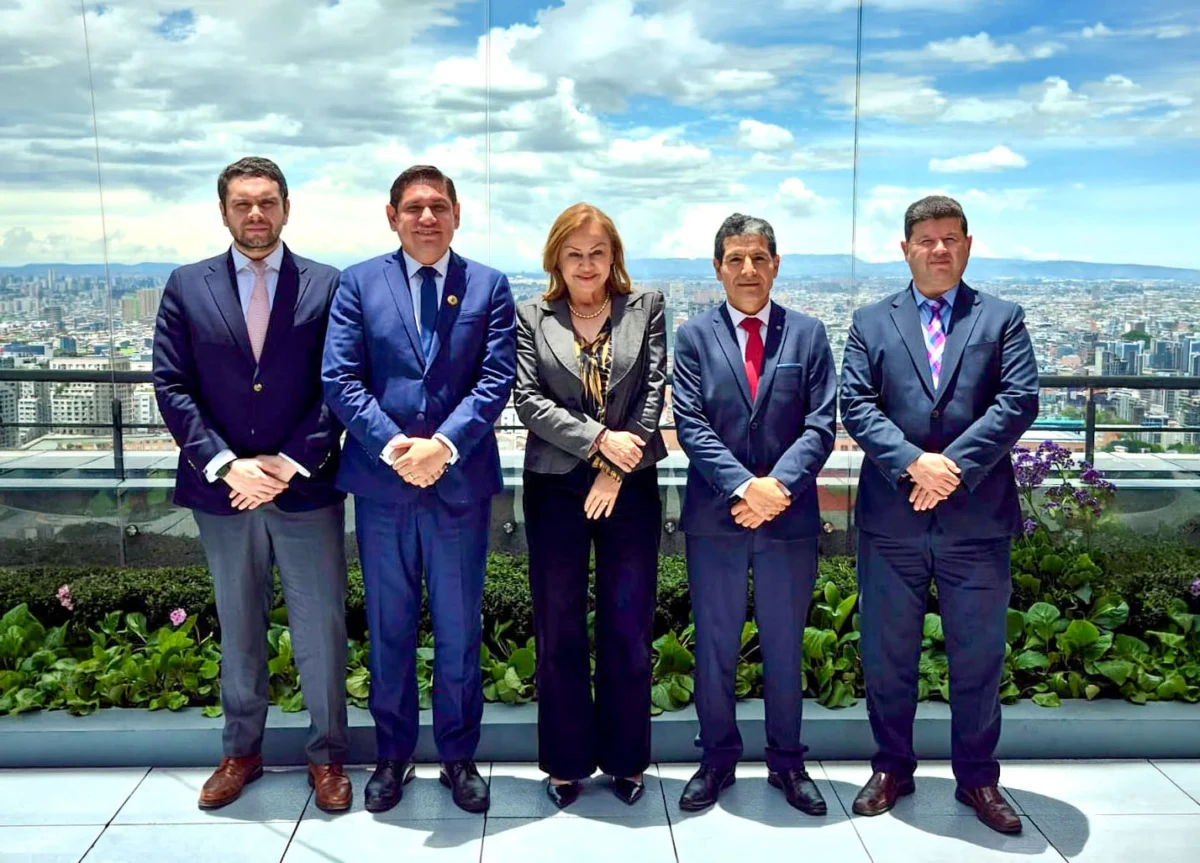 Strengthening the Andean Energy Backbone: The Bogotá Declaration and the Future of Regional Integration