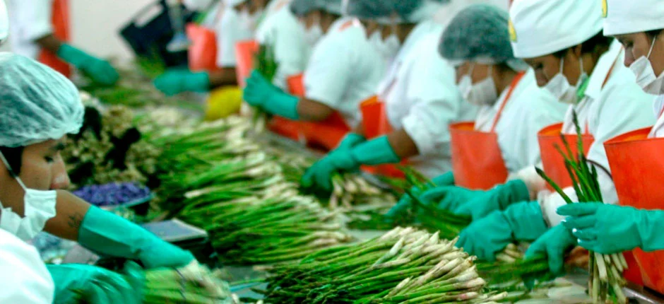 Beyond the Bureaucratic Labyrinth: Unlocking Peru’s Industrial Potential