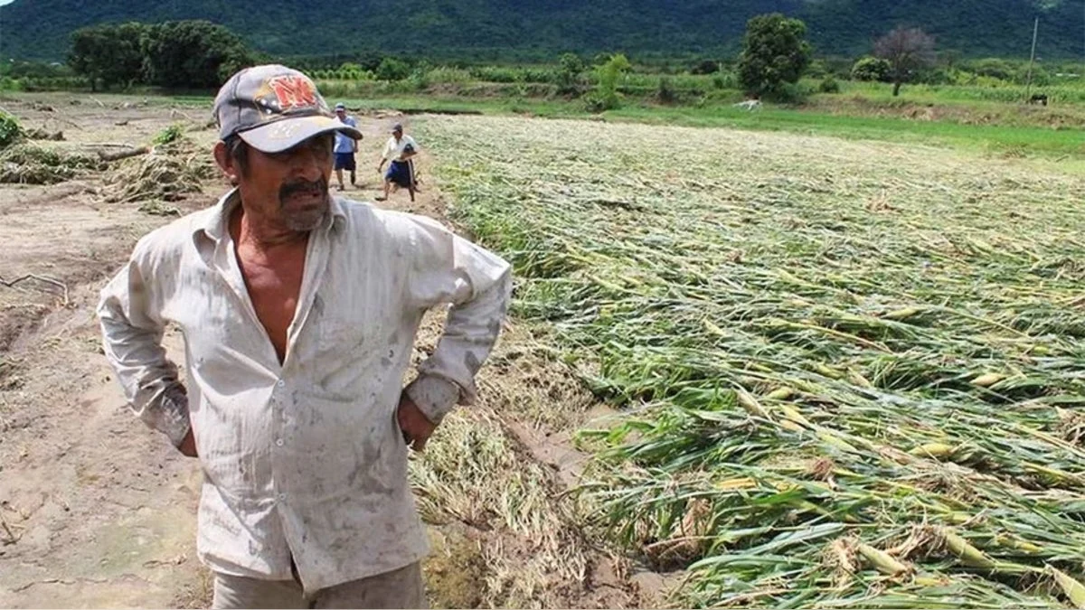 Revolutionizing Disaster Resilience: The Rise of Parametric Insurance in Peru